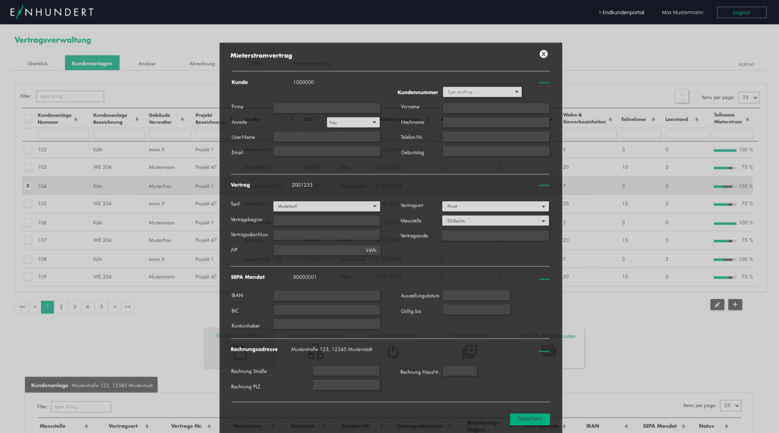 Screenshot Adminportal Details Vertrag Eingabe Daten Endkunden